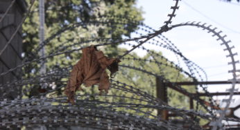Kashmir: 10 Million Dead Phones and No One to Say ‘Hello’